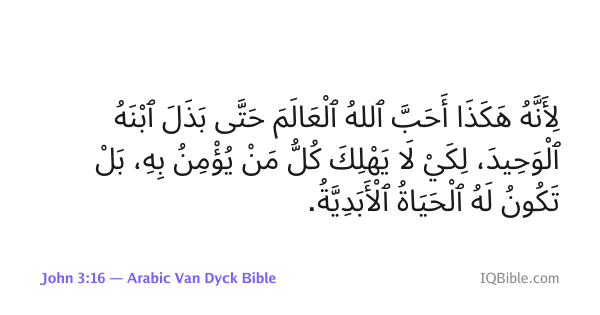 Verse-card image, John 3:16 in the Arabic Van Dyck Bible — letters joined and laid out right-to-left